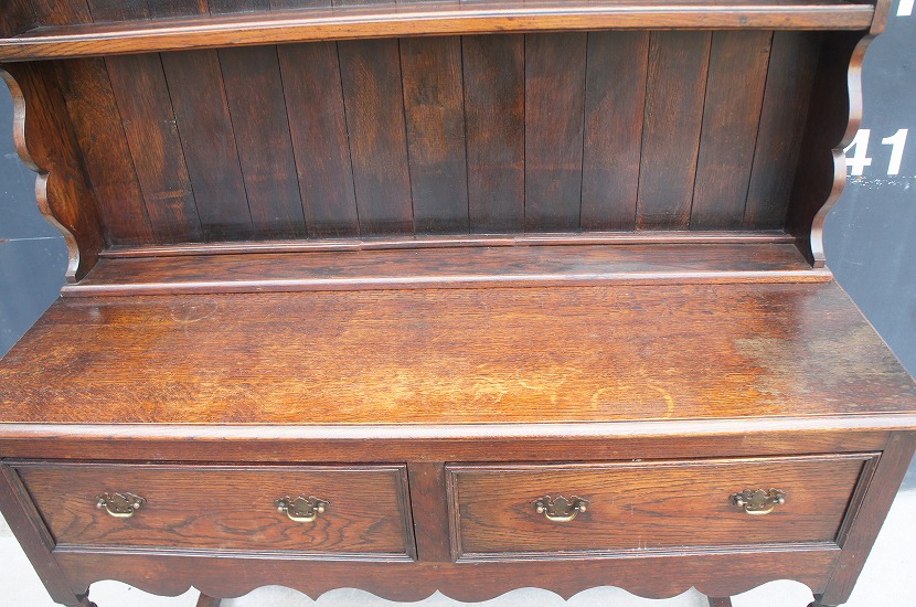 HOMEWARD [ホームワード] / イギリスアンティーク カップボード