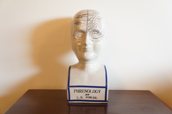 イギリスヴィンテージ L.N.Fowler フレノロジー ヘッドオブジェ (骨相学)