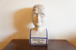 イギリスヴィンテージ L.N.Fowler フレノロジー ヘッドオブジェ (骨相学)