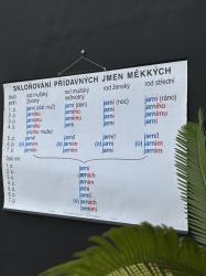 ヴィンテージ スクールチャート B