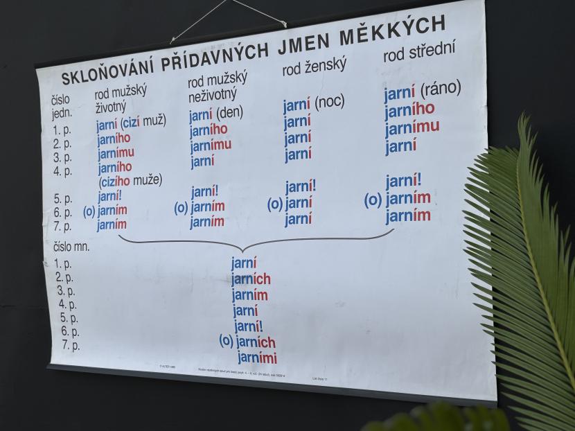 ヴィンテージ スクールチャート B