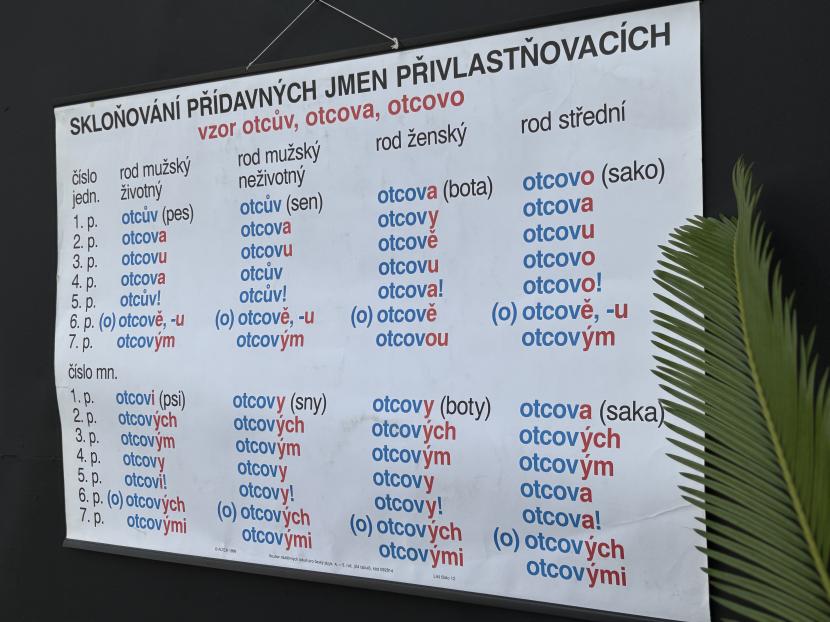 ヴィンテージ スクールチャート C