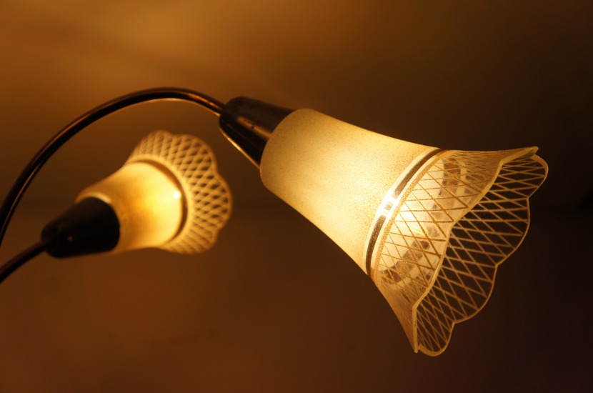 HOMEWARD [ホームワード] / フレンチミッドセンチュリー ヴィンテージ