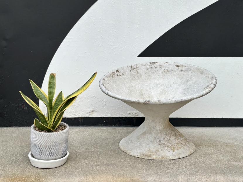 Willy Guhl (ウィリー グール) ディアボロ　プランター ①