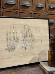 ベルギー ヴィンテージ ハンドデッサン